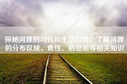 探秘河狸的习性和生活习惯,了解河狸的分布区域、食性、栖息地等相关知识 探秘河狸的习性和生活习惯,了解河狸的分布区域、食性、栖息地等相关知识