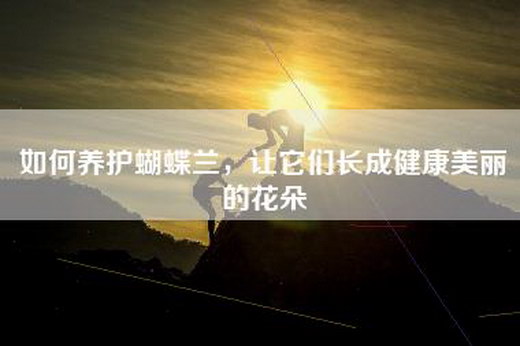 如何养护蝴蝶兰，让它们长成健康美丽的花朵