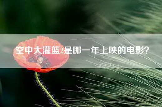空中大灌篮2是哪一年上映的电影？
