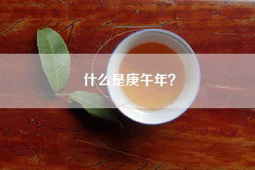 什么是庚午年？