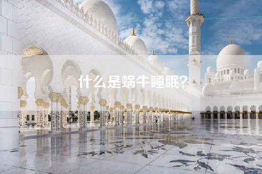 什么是蜗牛睡眠？