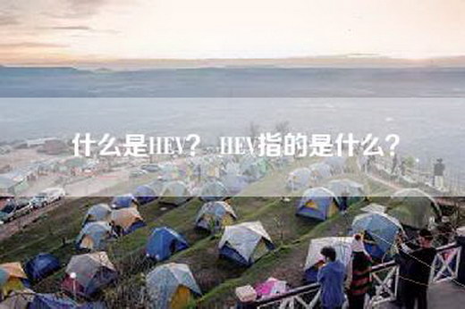 什么是HEV？ HEV指的是什么？
