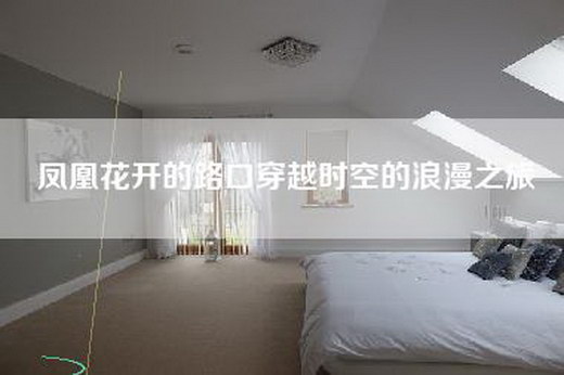 凤凰花开的路口穿越时空的浪漫之旅