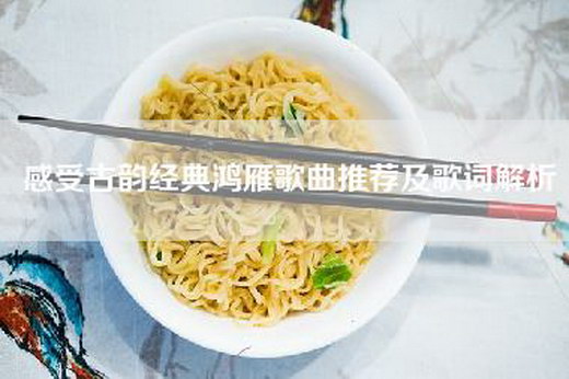 感受古韵经典鸿雁歌曲推荐及歌词解析