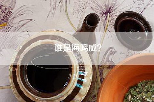 谁是海鸣威？