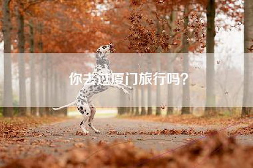 你去过厦门旅行吗?