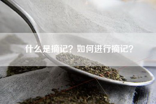 什么是摘记？如何进行摘记？