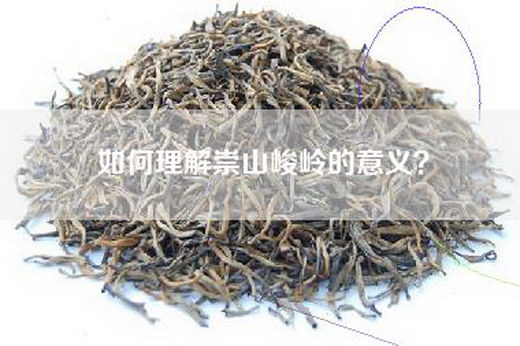 如何理解崇山峻岭的意义？