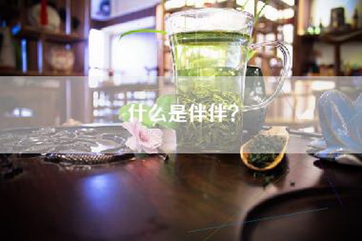 什么是伴伴? 什么是伴伴?