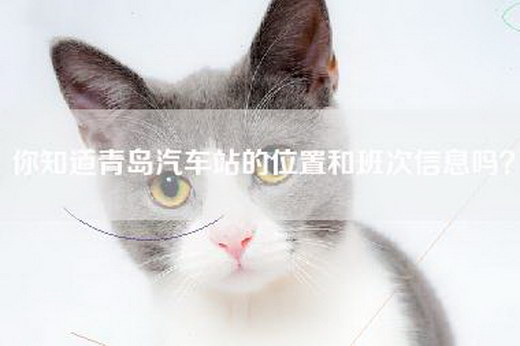你知道青岛汽车站的位置和班次信息吗？