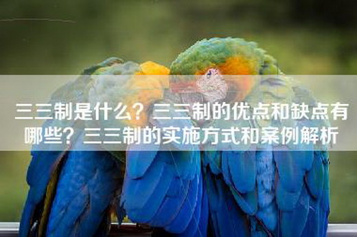 三三制是什么？三三制的优点和缺点有哪些？三三制的实施方式和案例解析