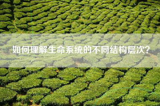 如何理解生命系统的不同结构层次? 如何理解生命系统的不同结构层次?