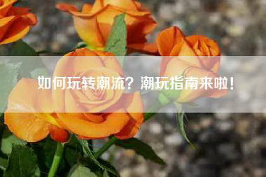 如何玩转潮流？潮玩指南来啦！