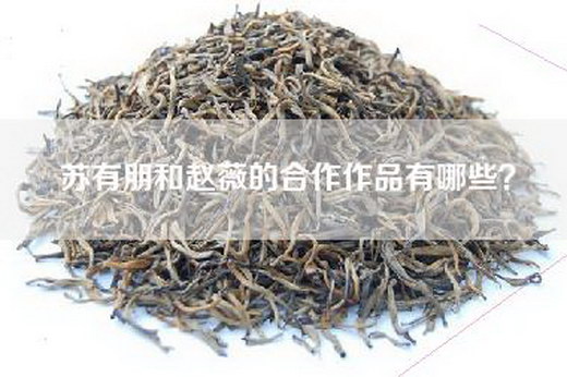 苏有朋和赵薇的合作作品有哪些？