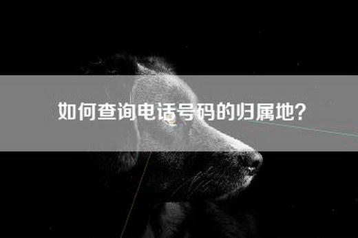 如何查询电话号码的归属地? 如何查询电话号码的归属地?