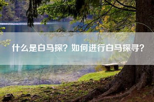 什么是白马探？如何进行白马探寻？