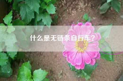 什么是无链条自行车? 什么是无链条自行车?