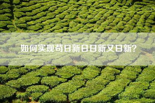 如何实现苟日新日日新又日新？