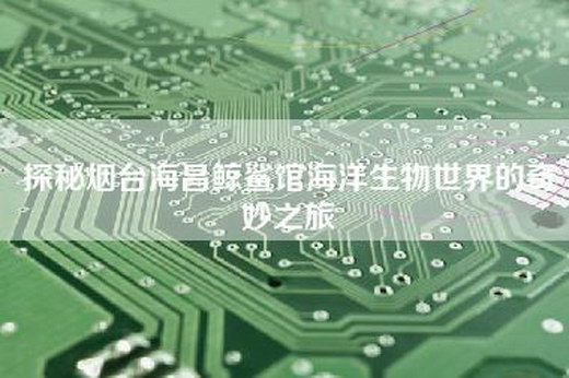 探秘烟台海昌鲸鲨馆海洋生物世界的奇妙之旅 探秘烟台海昌鲸鲨馆海洋生物世界的奇妙之旅