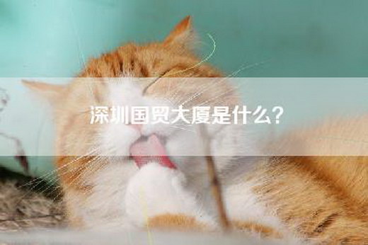 深圳国贸大厦是什么？