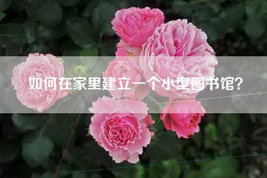 如何在家里建立一个小型图书馆? 如何在家里建立一个小型图书馆?