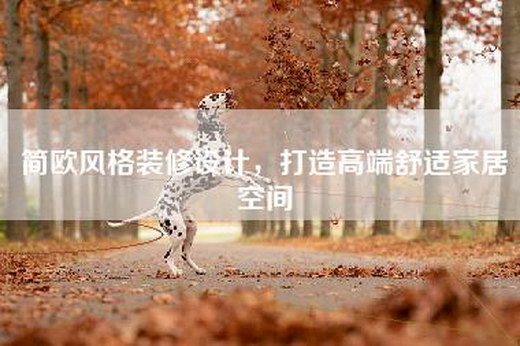 简欧风格装修设计,打造高端舒适家居空间 简欧风格装修设计,打造高端舒适家居空间