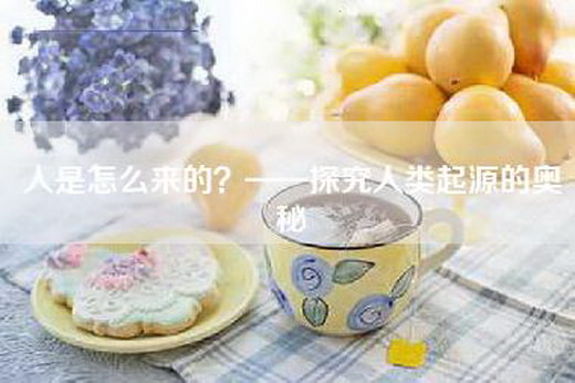 人是怎么来的?——探究人类起源的奥秘 人是怎么来的?——探究人类起源的奥秘