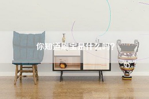 你知道刷宝是什么吗？