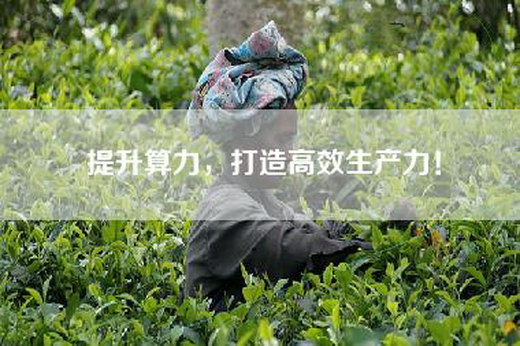 提升算力,打造高效生产力! 提升算力,打造高效生产力!