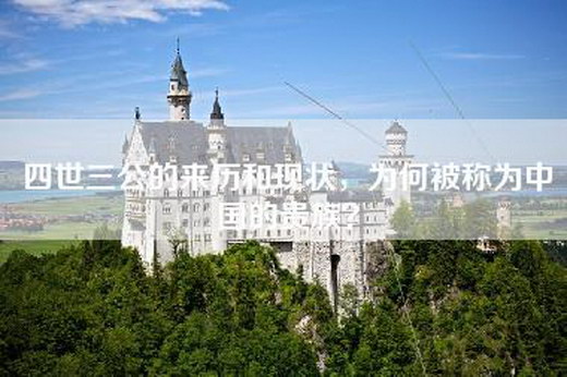 四世三公的来历和现状,为何被称为中国的贵族? 四世三公的来历和现状,为何被称为中国的贵族?