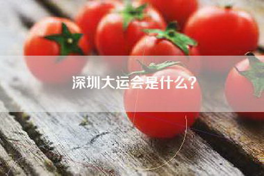深圳大运会是什么? 深圳大运会是什么?