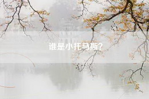 谁是小托马斯？