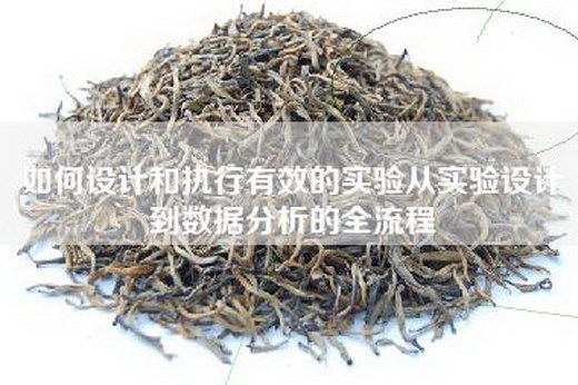 如何设计和执行有效的实验从实验设计到数据分析的全流程