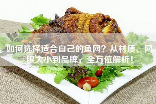 如何选择适合自己的鱼网?从材质、网眼大小到品牌,全方位解析! 如何选择适合自己的鱼网?从材质、网眼大小到品牌,全方位解析!