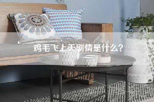 鸡毛飞上天剧情是什么? 鸡毛飞上天剧情是什么?
