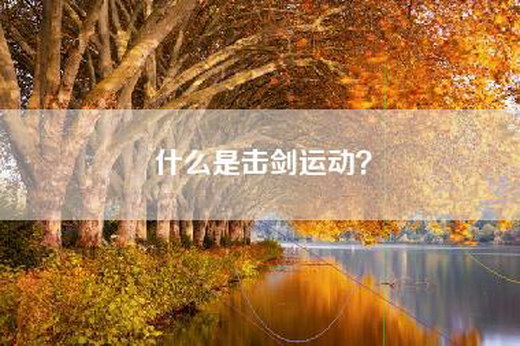 什么是击剑运动? 什么是击剑运动?