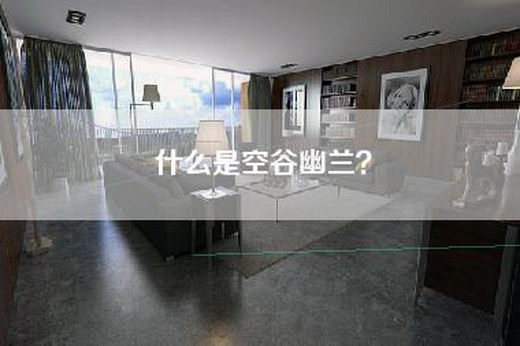 什么是空谷幽兰？