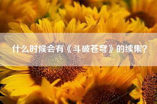 什么时候会有《斗破苍穹》的续集？