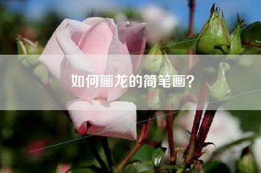 如何画龙的简笔画？