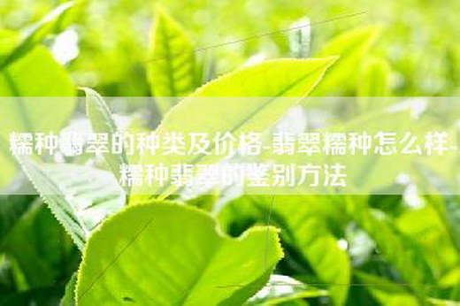 糯种翡翠的种类及价格-翡翠糯种怎么样-糯种翡翠的鉴别方法