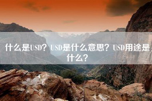 什么是USD？USD是什么意思？USD用途是什么？