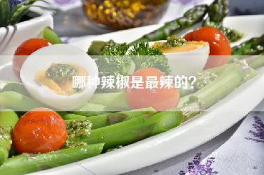 哪种辣椒是最辣的？