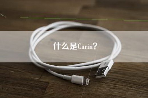 什么是Carin？
