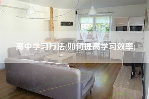 高中学习方法(如何提高学习效率)