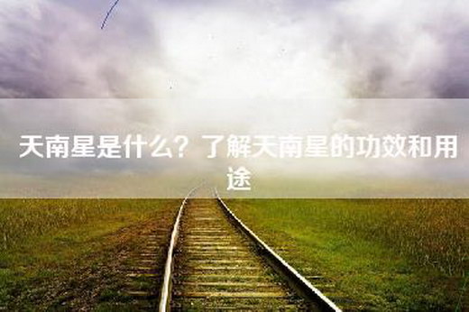 天南星是什么？了解天南星的功效和用途