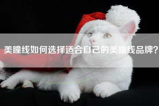 美瞳线如何选择适合自己的美瞳线品牌？