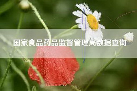 国家食品药品监督管理局数据查询