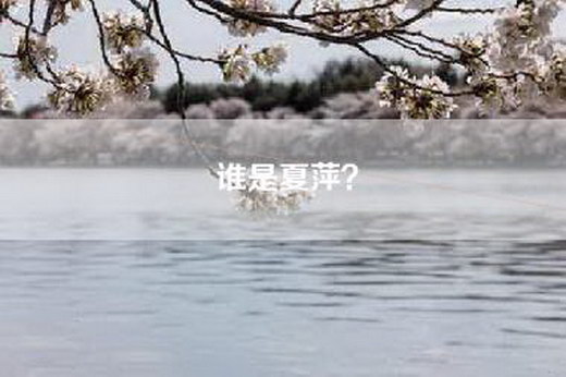 谁是夏萍？