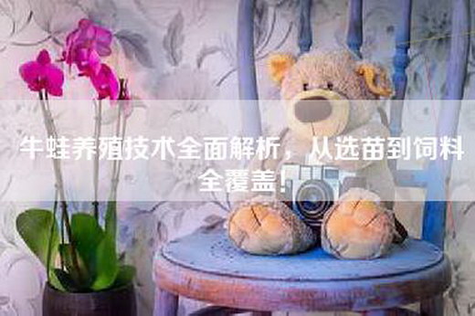 牛蛙养殖技术全面解析,从选苗到饲料全覆盖! 牛蛙养殖技术全面解析,从选苗到饲料全覆盖!