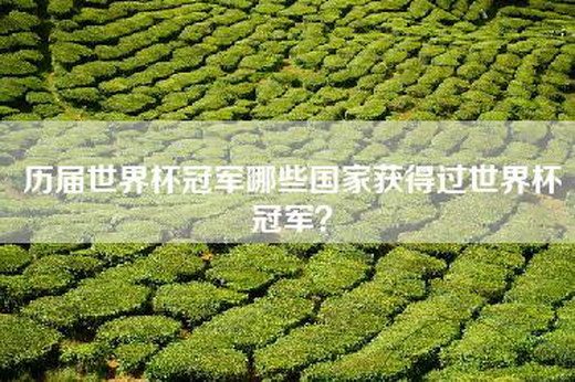 历届世界杯冠军哪些国家获得过世界杯冠军？